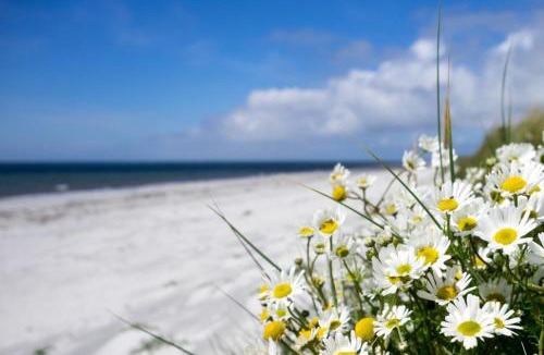 Pollachar House | Fuidaigh