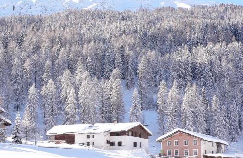 Fuldera Apartment | Fuldera Daint chasa Zanoli Whg im zweiten Stock