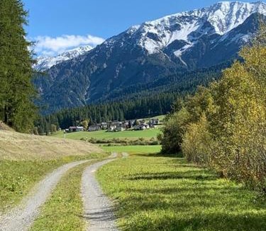 Fuldera Apartment | Fuldera Daint chasa Zanoli Whg im zweiten Stock