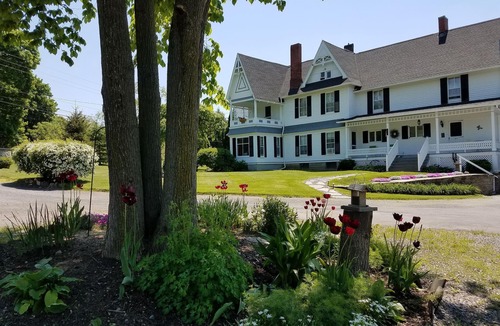 Lodi House | Full House of Highly Rated Bed and Breakfast (VRBO fee refund offer)
