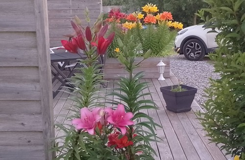 Cayeux-sur-Mer Apartment | Fully equipped gite 800 m from the sea