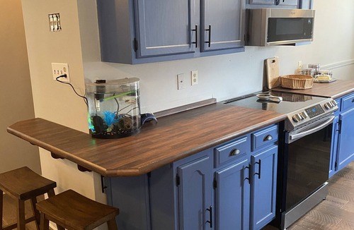 Conesus House | Fully equipped lake house on Conesus Lake