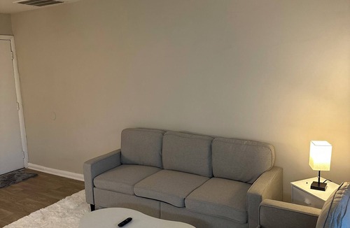 North Druid Hills Apartment | Fully Furnished 1Bedroom Apartment in Brookhaven New to Emory/children hospital