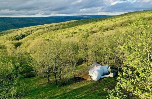 Feneyrols Other | Fun'ambulle