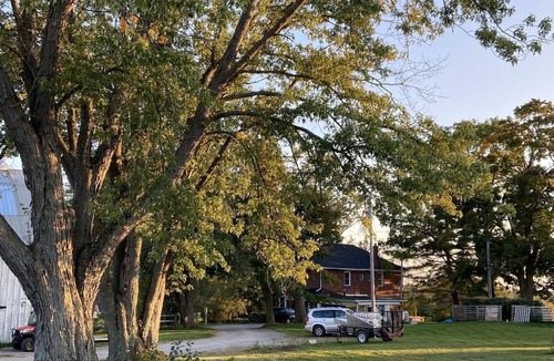 Ashburn Apartment | Fun on Our Family Farm. Visit Horses and Goats. 100 Acres to Explore.