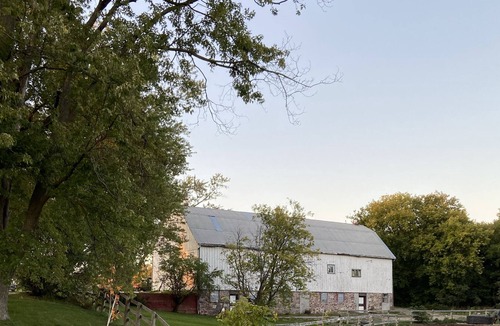 Ashburn Apartment | Fun on Our Family Farm. Visit Horses and Goats. 100 Acres to Explore.