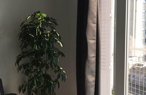 Saint-Martin-d'Heres Apartment | Furnished apartment T2 St Martin D Héres