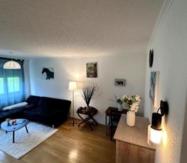 Baden Apartment | Furnished Apartment in Baden