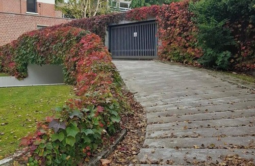 Saint-Maurice Pellevoisin Apartment | Furnished apartment+ swimming pool+ garage