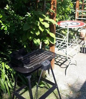 Plaisir Apartment | furnished apartment with a garden