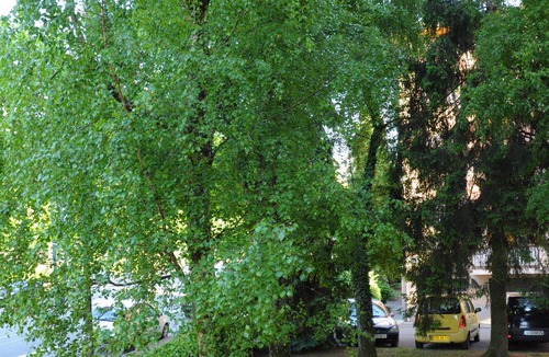 Annecy Apartment | Furnished studio, 3 stars, near beach, downtown,