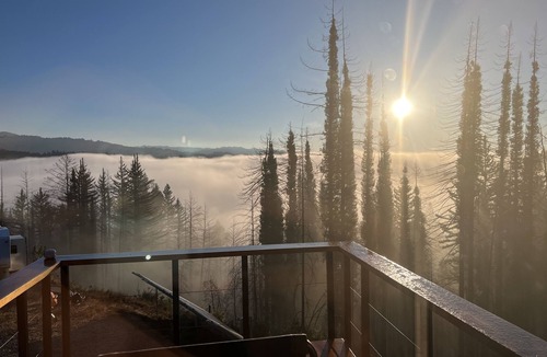 Boulder Creek Cabin | Fynix - Unique Container Home in Redwood Forests