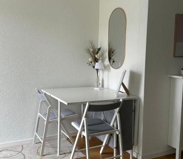 Schonenwerd Apartment | Gästehaus MaryVitty, zentrale zwischen Aarau und Olten, gut verbunden