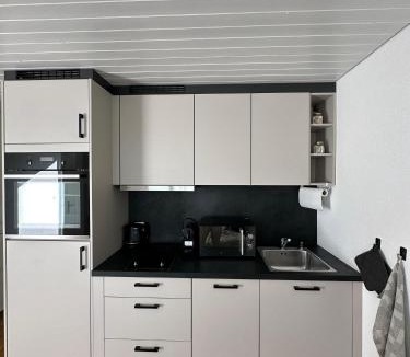 Schonenwerd Apartment | Gästehaus MaryVitty, zentrale zwischen Aarau und Olten, gut verbunden