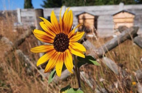 Sainte-Marguerite-sur-Duclair House | Gîte La Ruchette