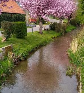 Lebiez House | Gîte à l'Aise à Lébiez, Pas de Calais, Haute Pays d'Opale