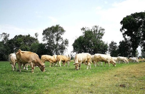 Revel House | Gîte à la Ferme de la Bouriette
