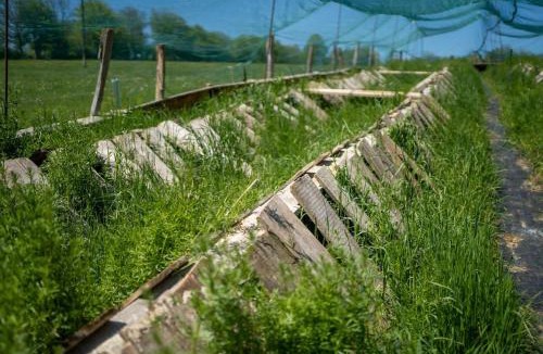 Chamesol House | Gîte à la ferme du Lomont