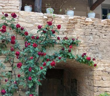 Viserny House | Gîte à la ferme