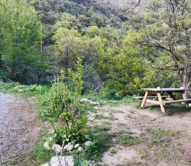 La Robine-sur-Galabre House | Gîte à la ferme La Bedigue