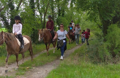 Sallertaine House | Gîte 4/6 Personnes au Sein D'une Ferme Pédagogique et D'un Centre Équestre