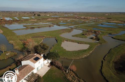 Bois-de-Cene House | Gîte 4 chambres avec bien-être et terrasses au cœur du Marais Breton - FR-1-426-559