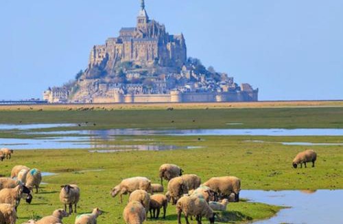 Marcilly House | Gîte 6pers proche Mont-St-Michel - calme & jardin