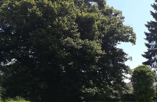 Gruchet-le-Valasse House | Gîte 6 - Rez de Jardin