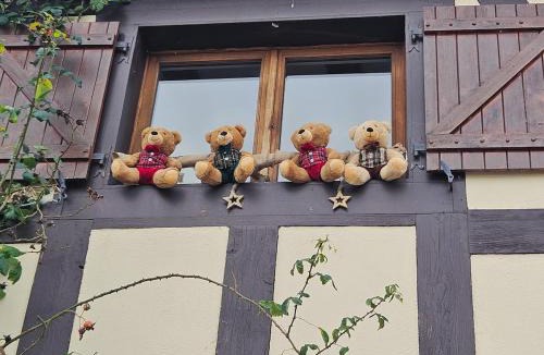 Bergholtzzell House | Gîte a la source