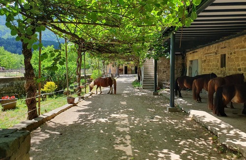 Les Salelles House | Gîte au Cœur D'un Centre Équestre