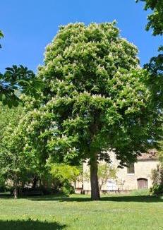 Vaylats Apartment | Gîte au cœur du Quercy