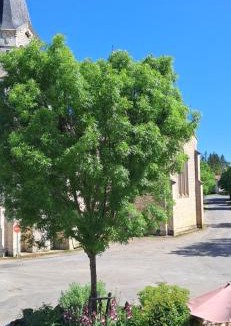 Vaylats Apartment | Gîte au cœur du Quercy