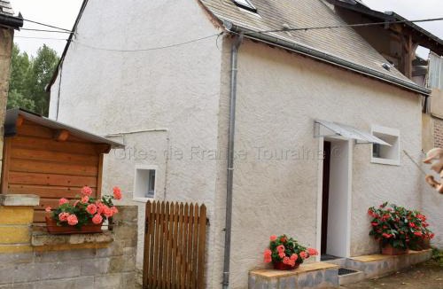 Limeray House | Gîte au Cœur du Val de Loire avec WIFI et Animaux Acceptés - FR-1-381-154