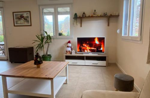 Le Hohwald Apartment | Gîte au cours d’eau