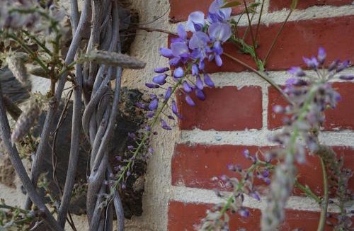 Le Vast House | Gîte Au fil de l'eau