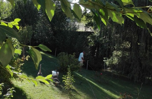 Naucelle House | Gîte au Moulin (Loft) Pets welcome!