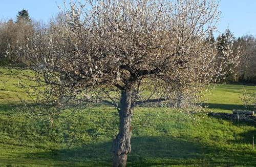 Saint-Martin-en-Vercors House | Gîte BARD des OURS