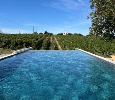 Saint-Aubin-de-Luigne Villa | Gîte Beauséjour