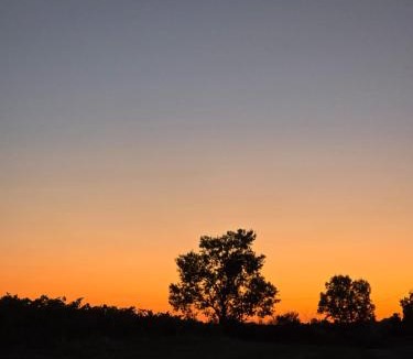 Saint-Aubin-de-Luigne Villa | Gîte Beauséjour