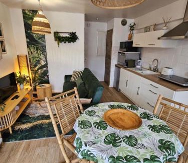 La Roche-sur-Yon Apartment | Gîte "Bornéo", avec parking securisé