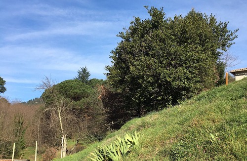 Saint-Jean-du-Gard House | Gîte cévenol "LE PAILLER".