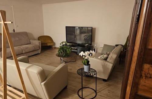 Thoissey Apartment | Gîte Côté Saône