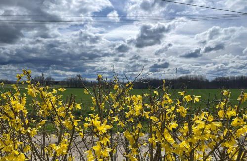 Montjay Apartment | Gîte Camping les Arbois