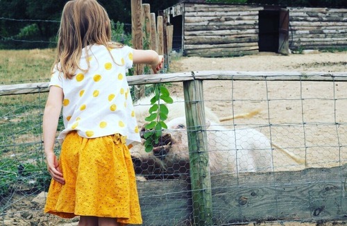 Chassenard House | Gîte caravan