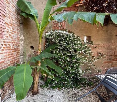 Puydaniel House | Gîte Casafamilia - Nature et sérénité