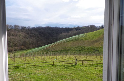 Lucq-de-Bearn Cottage | Gîte Castagnet