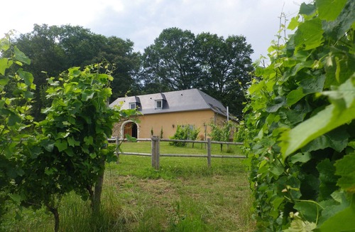 Lucq-de-Bearn Cottage | Gîte Castagnet