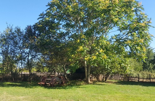 Saint-Sulpice-de-Ruffec House | Gîte Chez Chenon