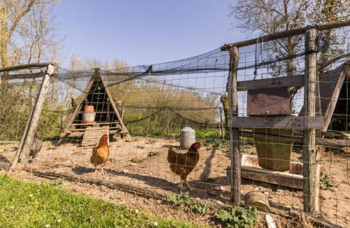 Frossay House | Gîte champêtre rénové avec terrasse & équipements, proche Pornic - animaux acceptés - FR-1-306-1027
