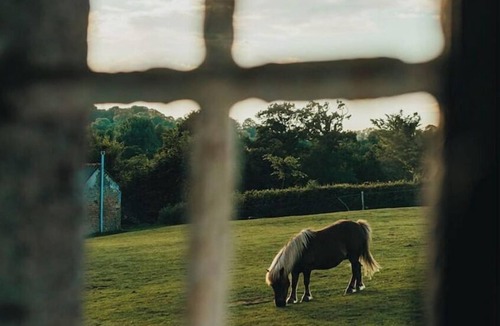Cherence-le-Heron Cottage | Gîte Charmant à la Campagne